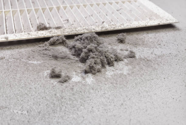 Best Affordable Air Duct Cleaning  in Fort Loramie, OH