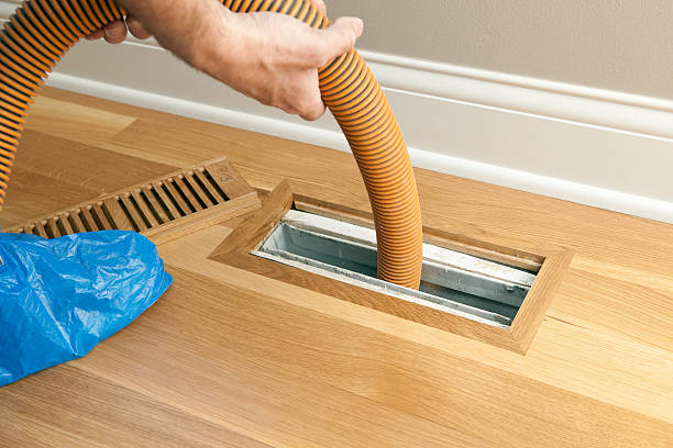 Best Air Duct Sanitizing Services  in Fort Loramie, OH