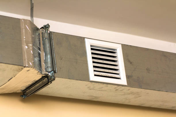 Best Air Duct Inspection  in Fort Loramie, OH